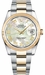 Rolex Datejust 36 Mother of Pearl Roman Numeral Oyster Bracelet Watch 116233-0176 - image 0